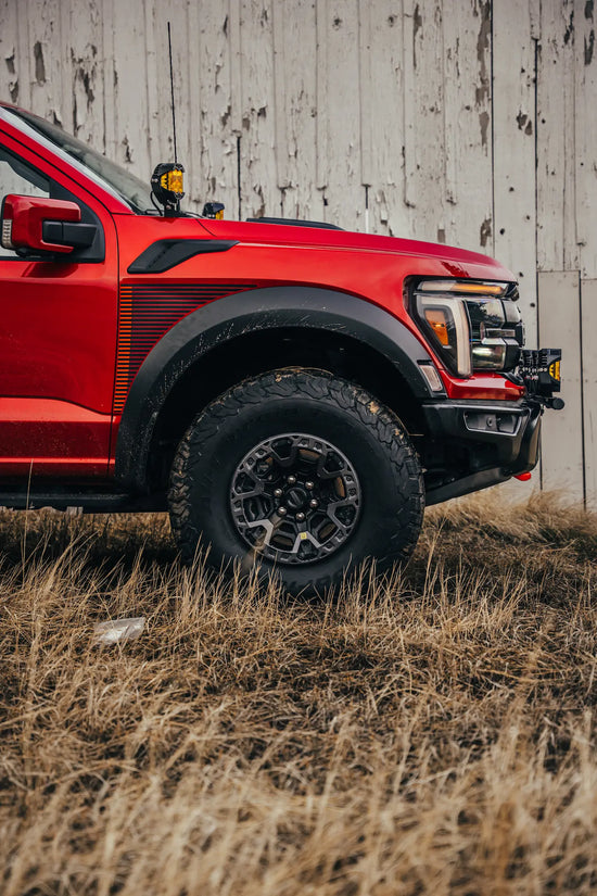 Raptor