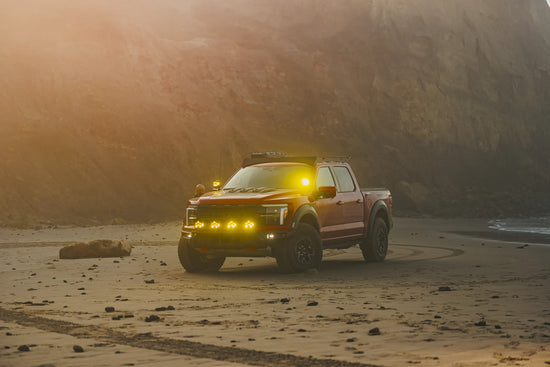 Raptor