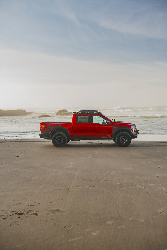 Raptor