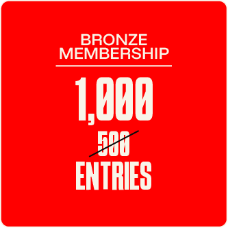 Bronze VIP