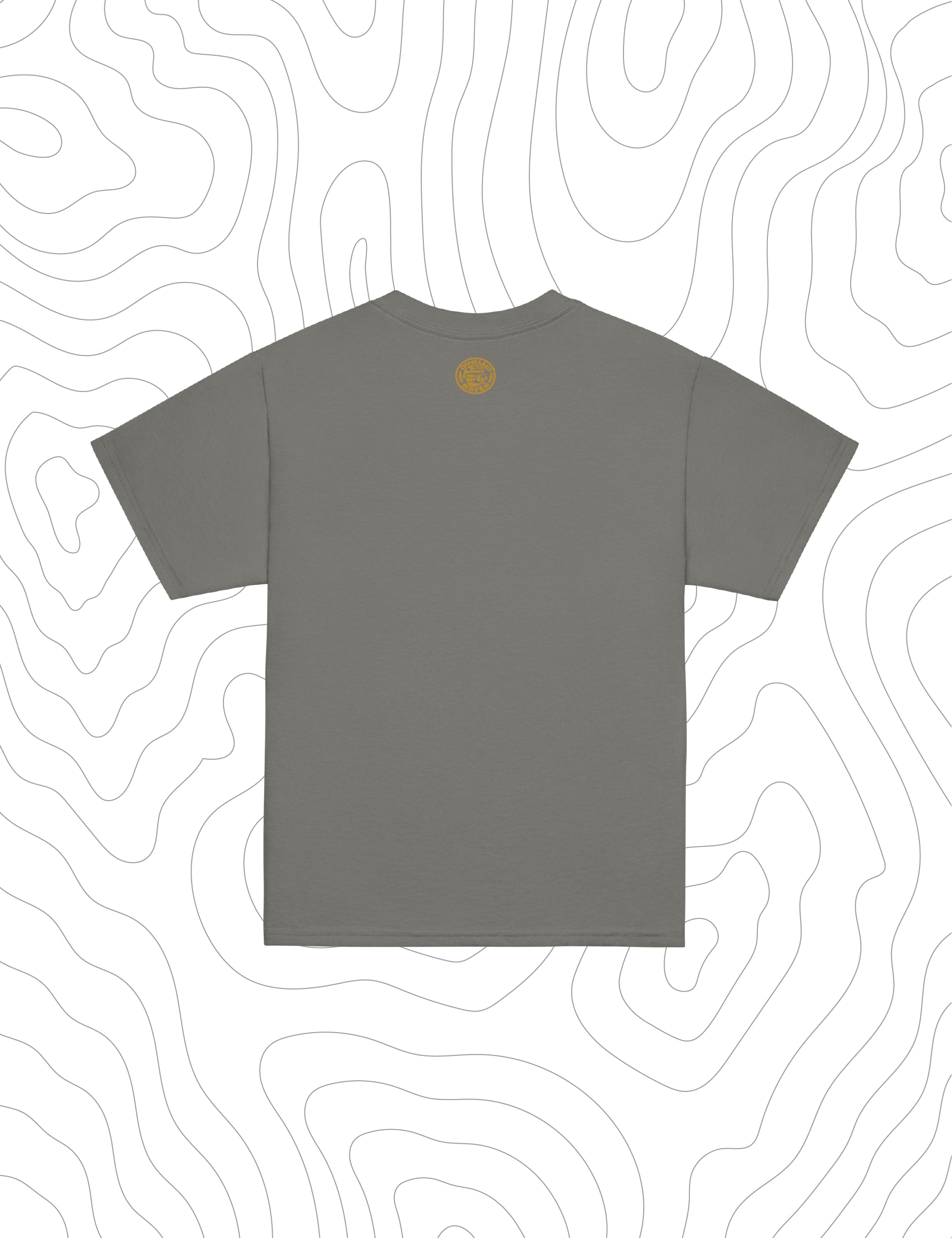 kidstshirtgreyback.webp